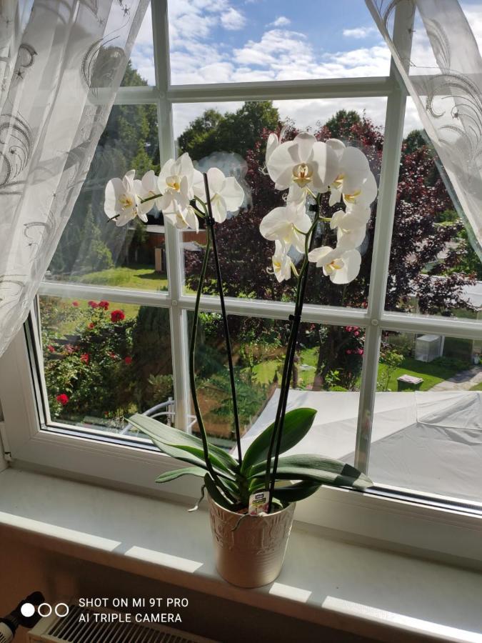 Blumen Apartment Hamburg-Harburg Buitenkant foto